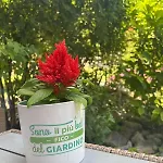 Daire Casa Vittoria