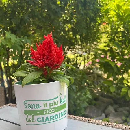 Apartamento Casa Vittoria