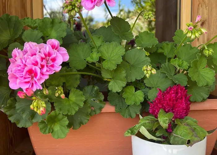 Casa Vittoria * Gignod