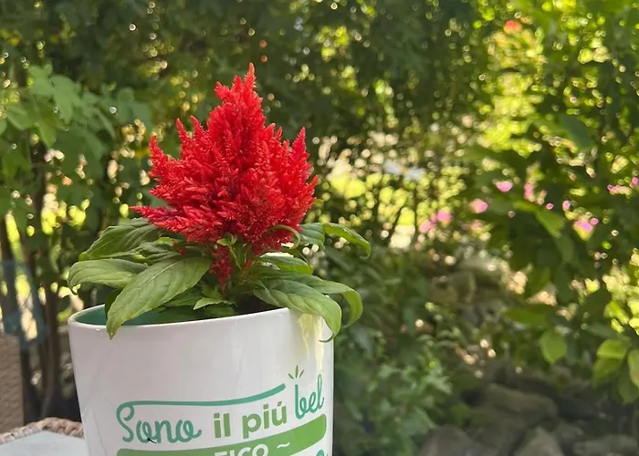 Apartment Casa Vittoria