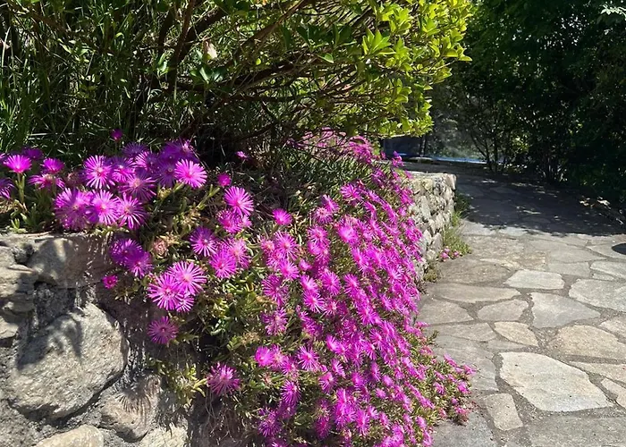 Apartment Casa Vittoria Gignod